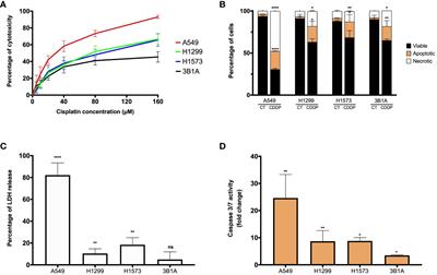 Transcriptional signature of early cisplatin drug-tolerant persister cells in lung adenocarcinoma